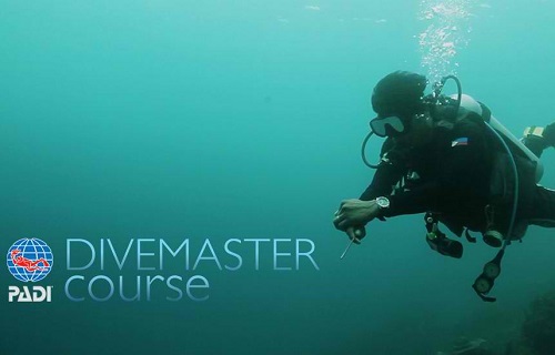 PADi divermaster course, be the best 
