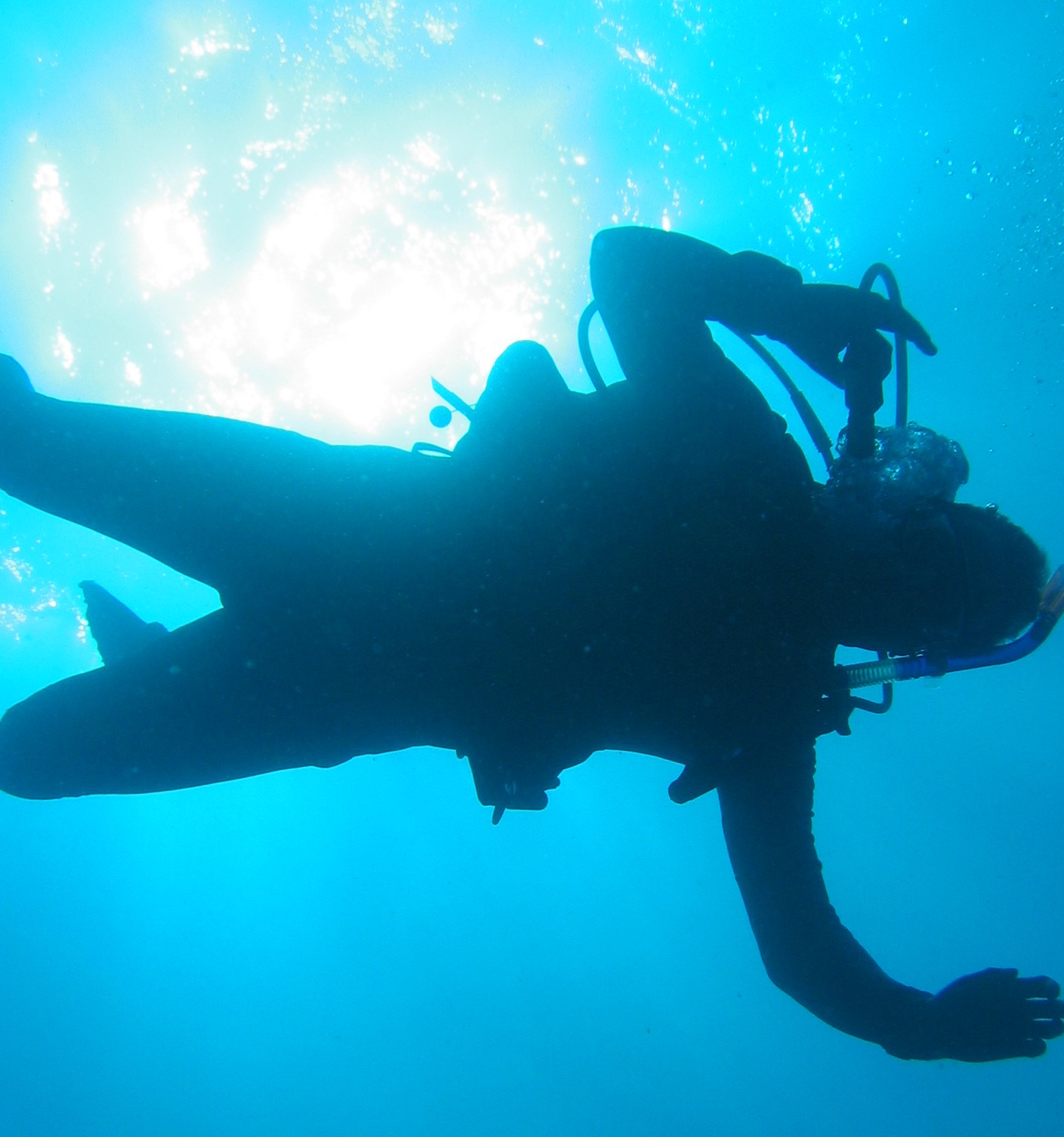 padi divemaster vpadi master scuba diver